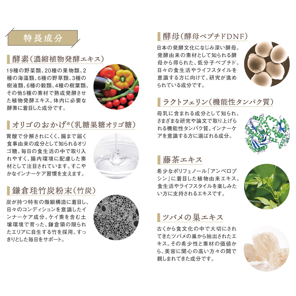 すっきり宝泉酵(ホウセンカ)