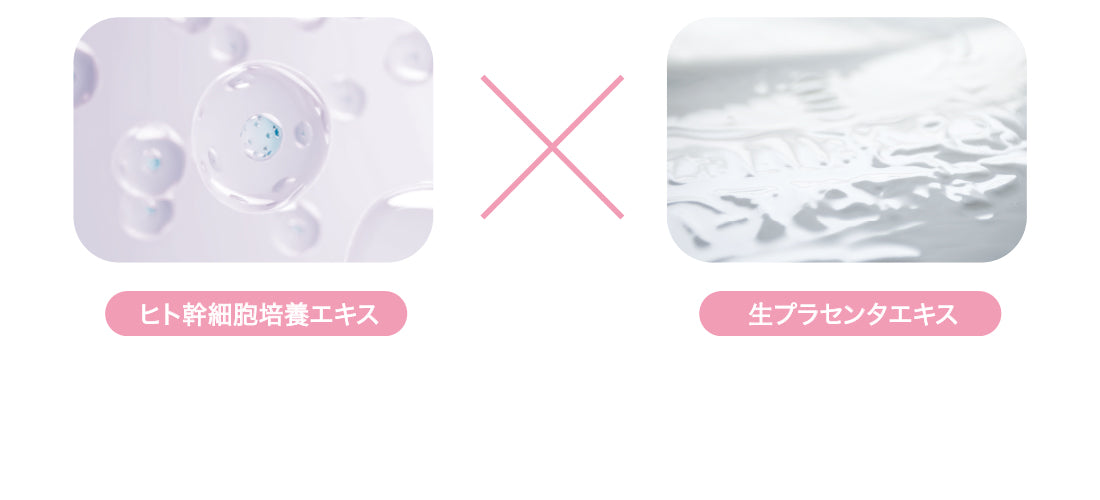IKIHADA 3点セット
