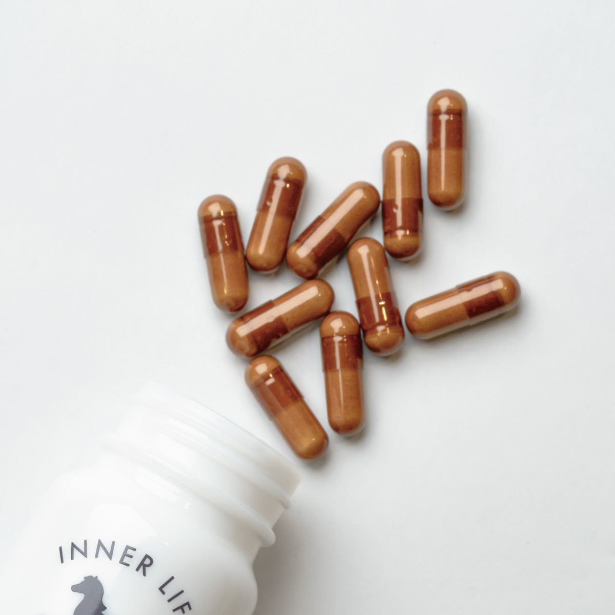 インナーライフ エキュヴィータ