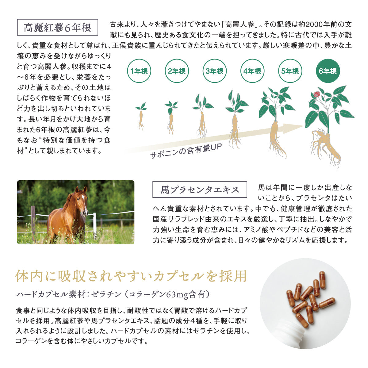 インナーライフ エキュヴィータ – 粋オンラインストア