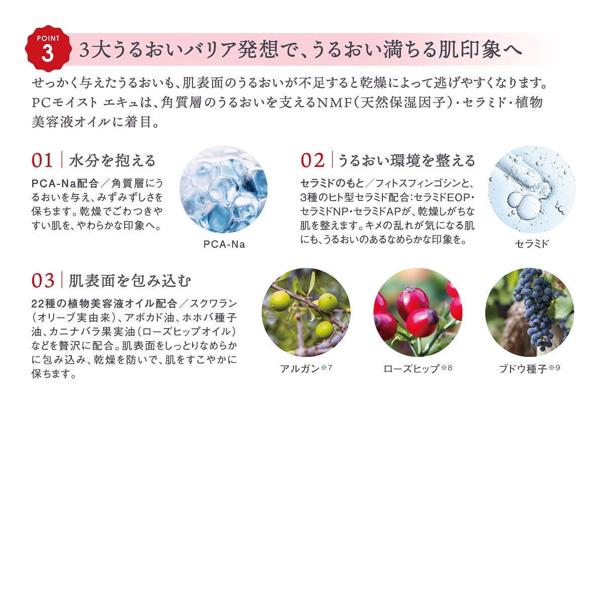 [初回限定]PCモイスト エキュ